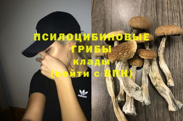 мяу мяу мука Верхнеуральск